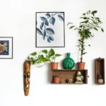 assorted wall decors